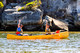 Bushtucker Canoe Tour