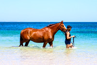 Forrest Beach Horse catchup