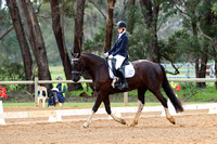 Timber Treaters Henty Winter Dressage Championships