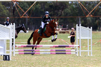 65cm Showjumping