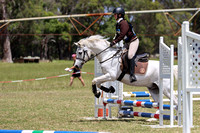 45cm Showjumping