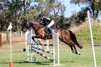 105cm Showjumping